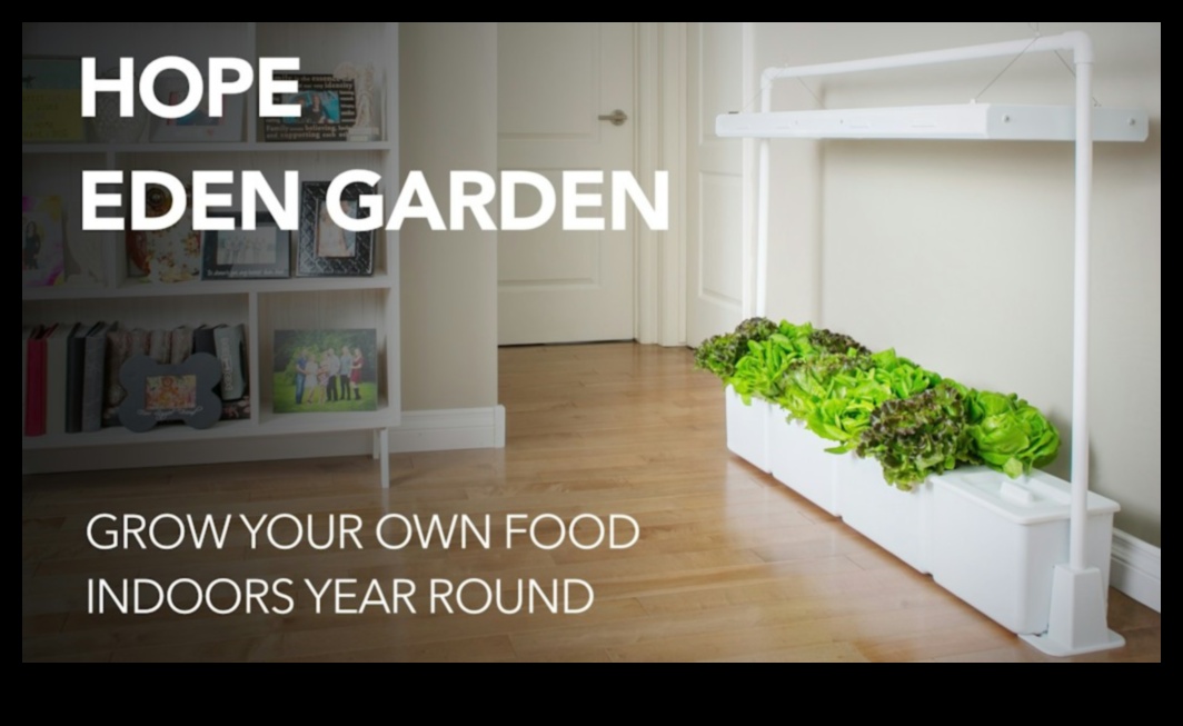 Indoor Eden: Growing Your Garden Beyond the Outdoors
