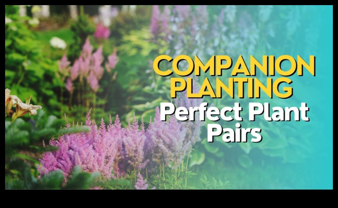 Blossoming Companions: The Science Behind Garden Harmony