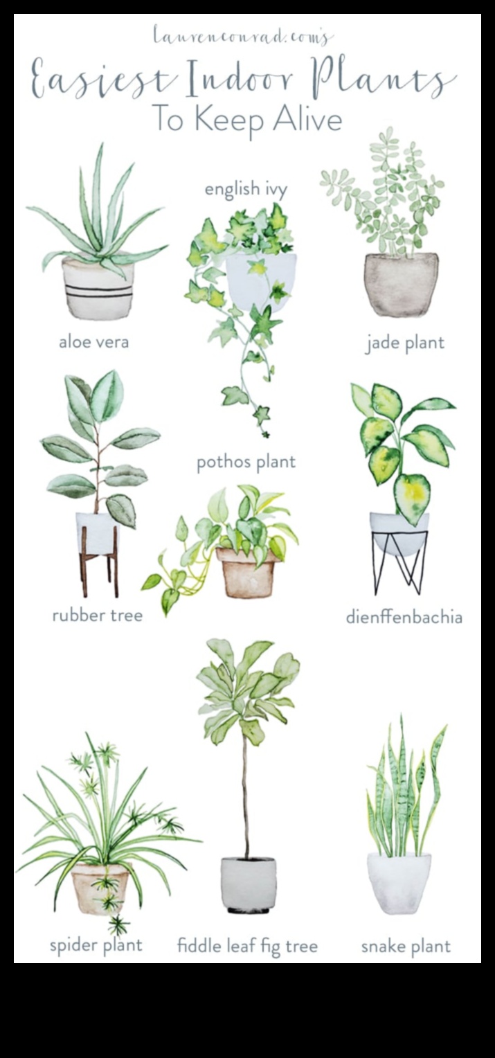 Green Thumb Indoors: Απελευθερώνοντας τη Μαγεία της Εσωτερικής Κηπουρικής