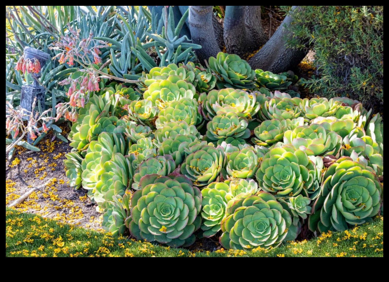Βοτανική Σερενάτα Μια περιήγηση στον κήπο με γλυπτά που γιορτάζουν τη φύση 4 Botanical Serenade: Exploring the Beauty of Garden Sculptures