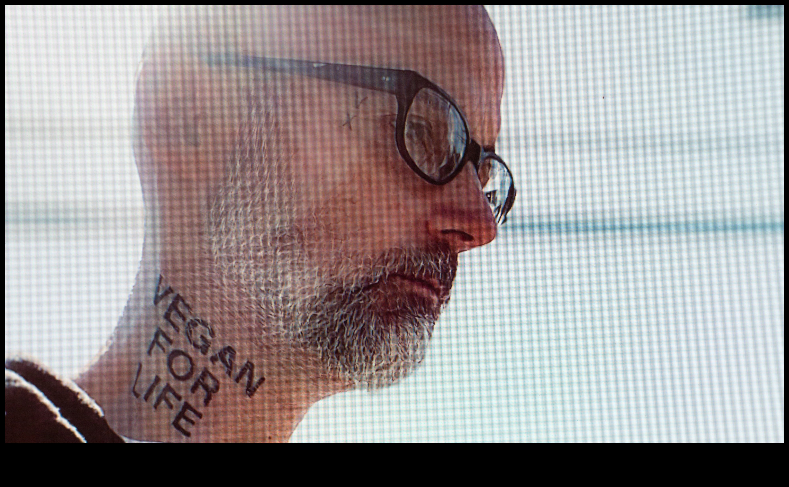 Ink Ark: Stories Etched in a Menagerie of Tattoos