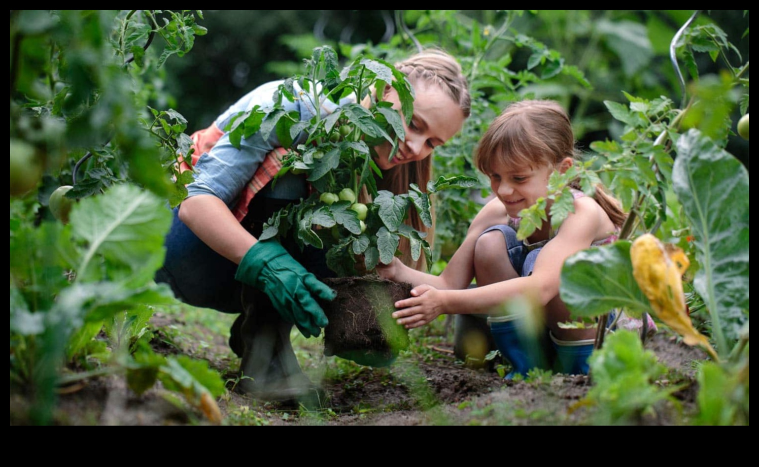 Defend, Deter, Defeat A Gardener's Guide to Pest-free Plants 4 Defend, Deter, Defeat: A Gardener's Blueprint for Pest Control