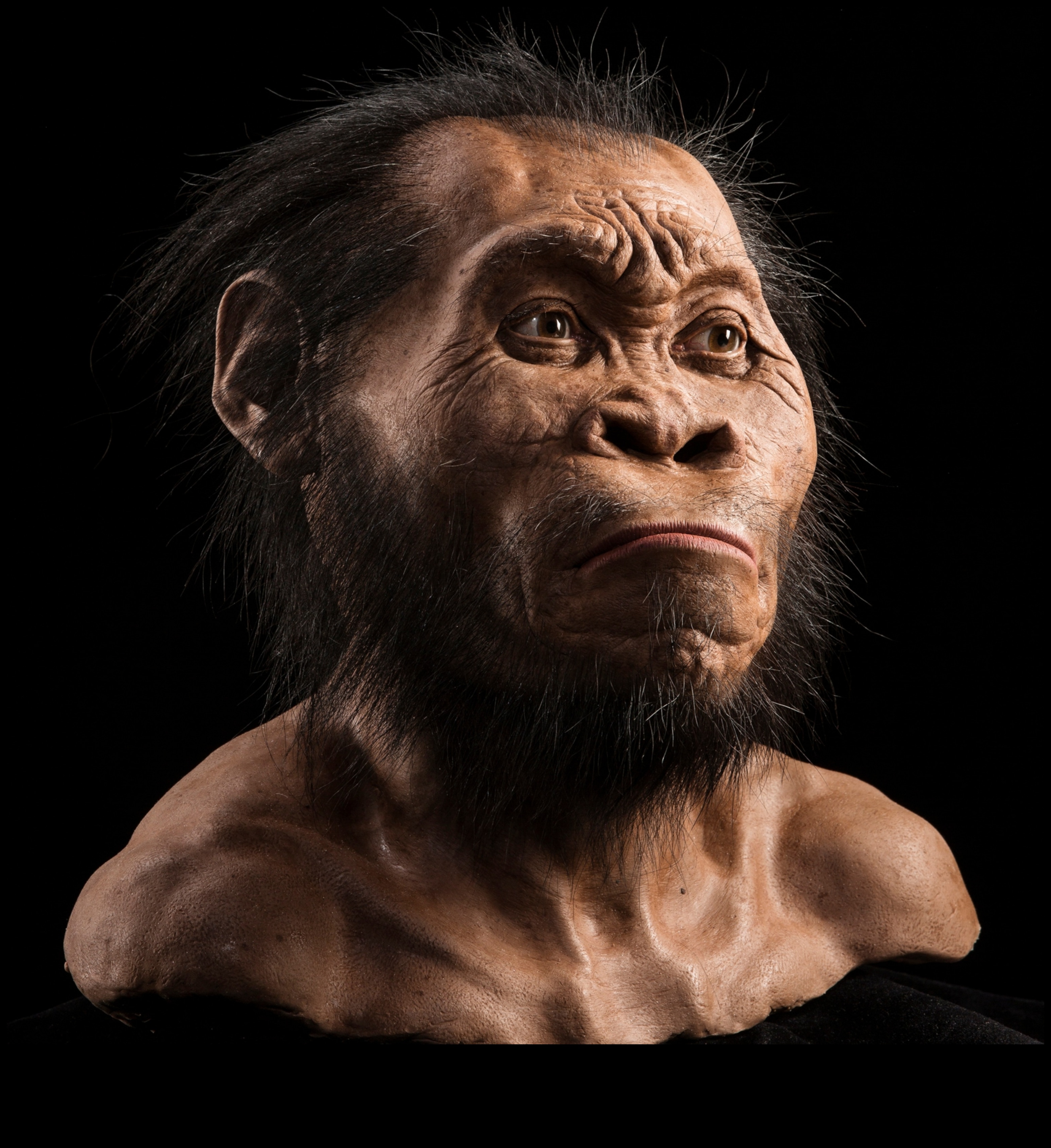 Πρωτόγονα πορτρέτα που ξεθάβουν τα πρόσωπα των προϊστορικών προγόνων μας 5 Πρωτόγονα πορτρέτα: Πρόσωπα σε προϊστορικά ειδώλια