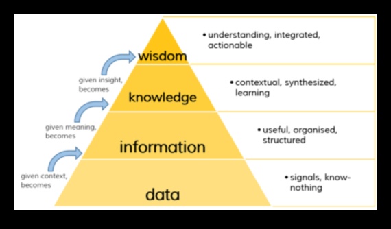Καλλιέργεια Σοφίας Δεδομένων: Η Δύναμη της Στρατηγικής Επιχειρηματικής Ευφυΐας