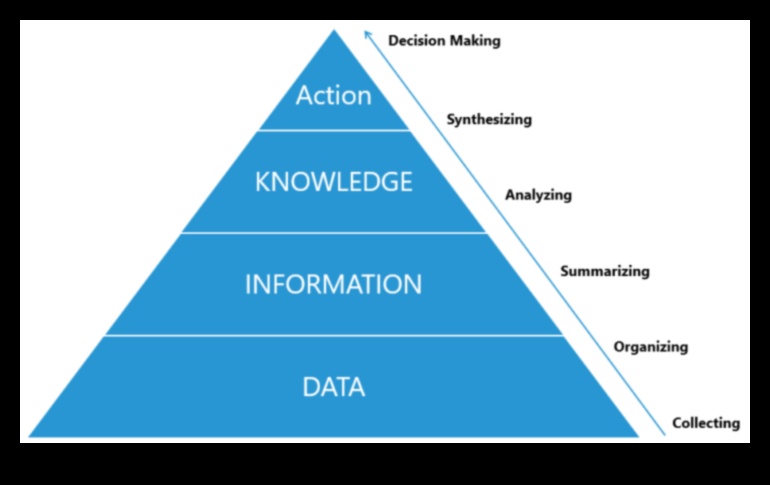 Καλλιέργεια Σοφίας Δεδομένων: Η Δύναμη της Στρατηγικής Επιχειρηματικής Ευφυΐας