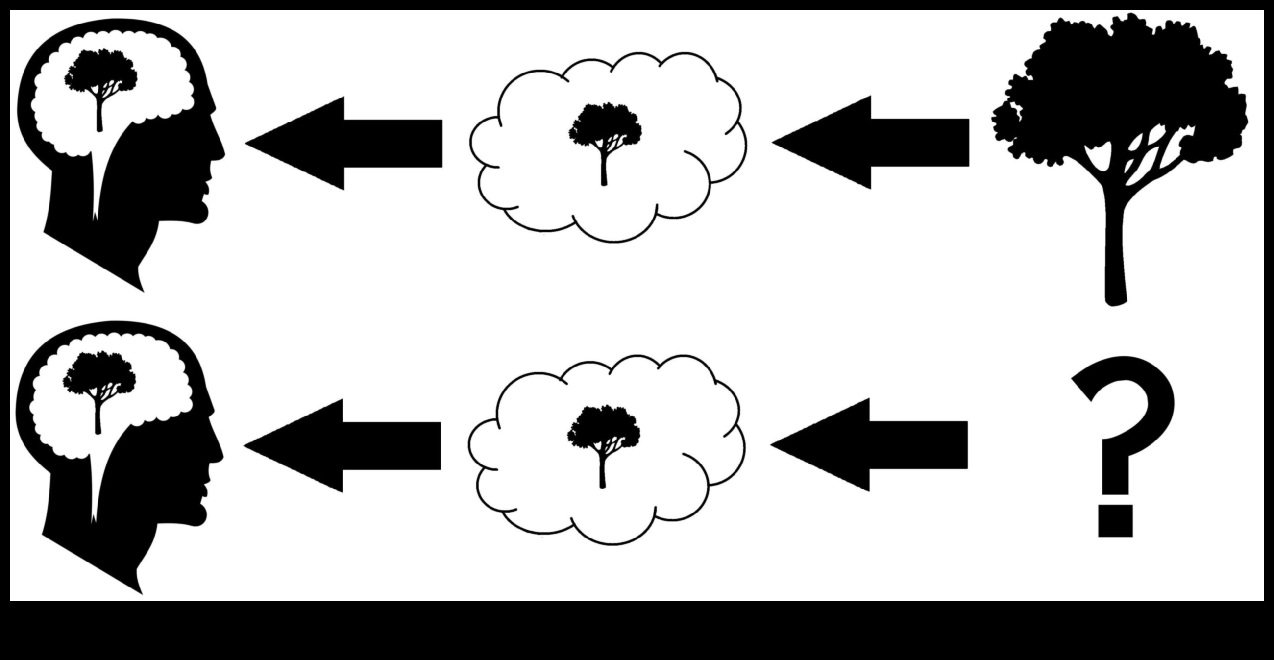Visual Veracity: Ο αντίκτυπος του ρεαλισμού στην αντίληψη του θεατή