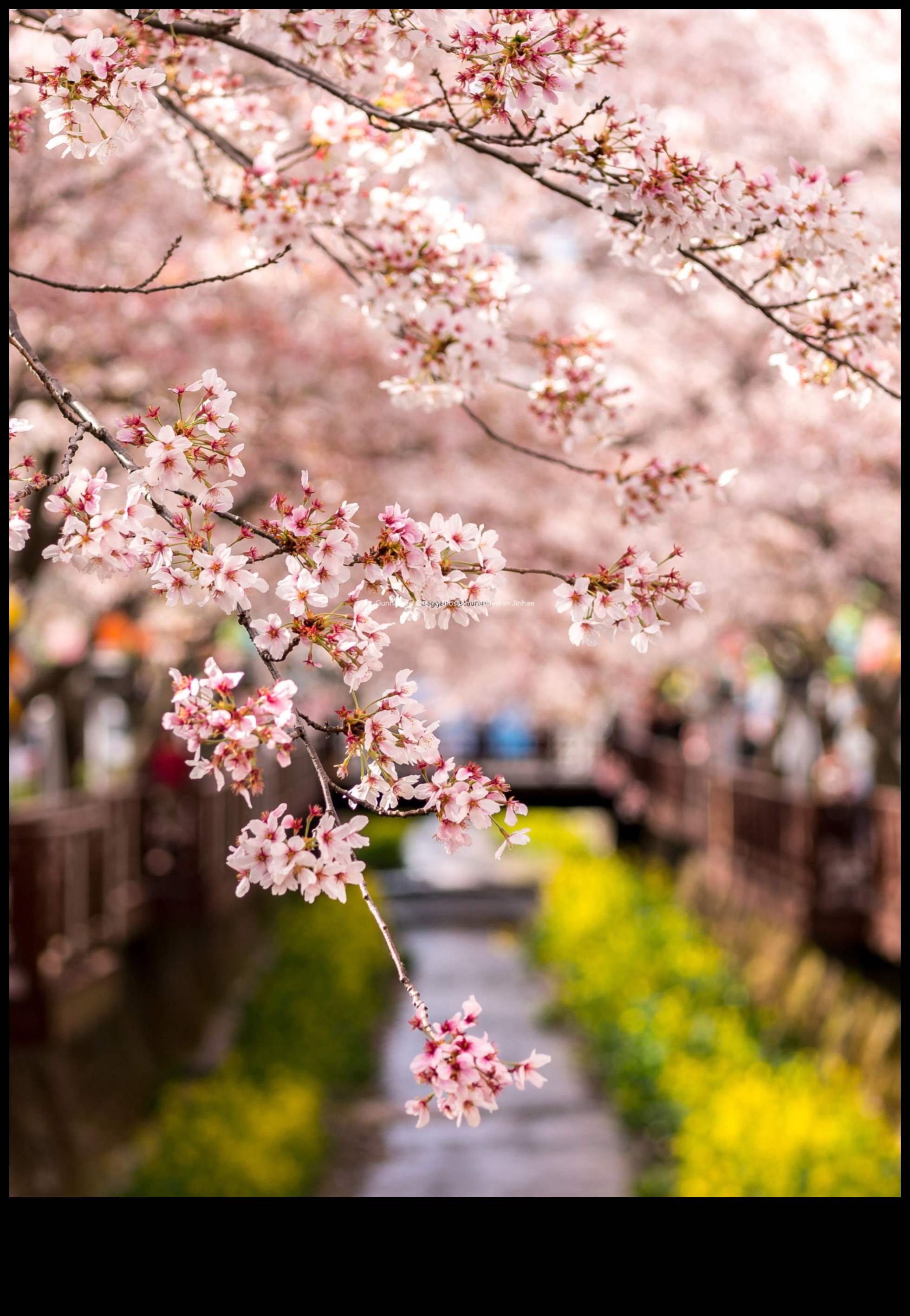 Διαδραστικοί κόμβοι: Καλλιέργεια σχέσεων στο κοινωνικό πεδίο