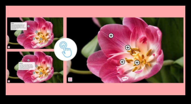 Διαδραστικοί κόμβοι: Καλλιέργεια σχέσεων στο κοινωνικό πεδίο