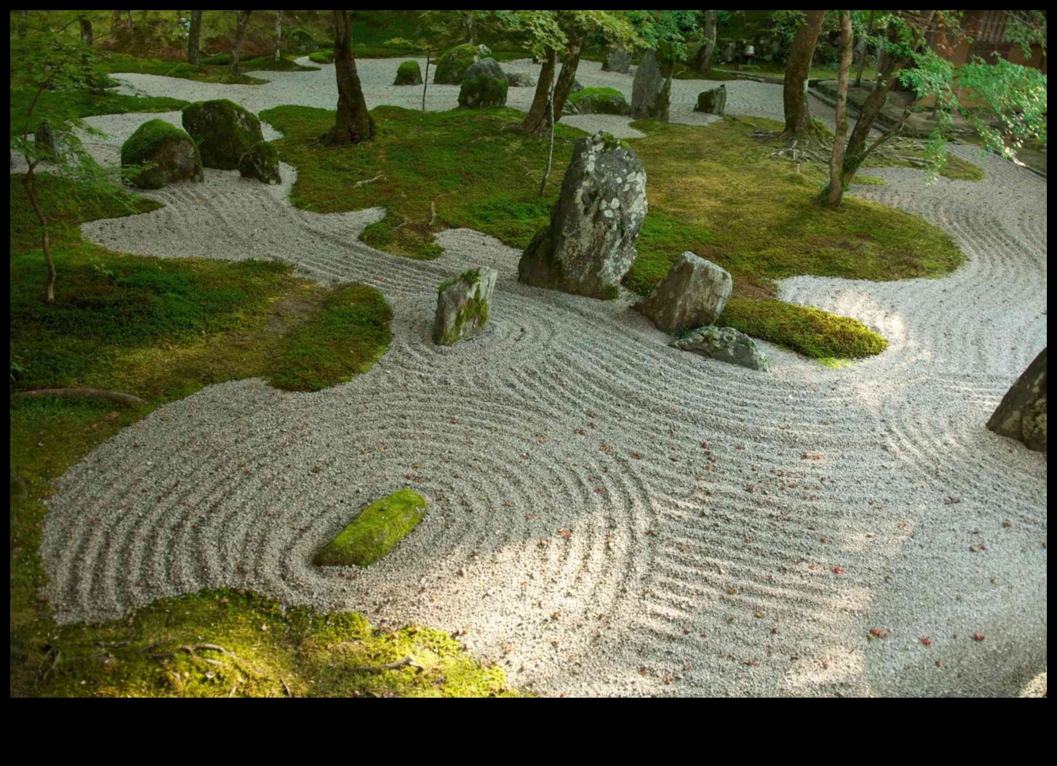 Μπαμπού και πέτρες Το μυστικό για τον ιαπωνικό σχεδιασμό κήπου 3 Bamboo and Stones: Japanese Gardening Secrets