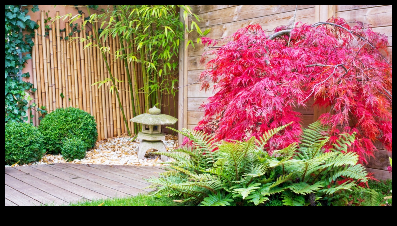 Μπαμπού και πέτρες Το μυστικό για τον ιαπωνικό σχεδιασμό κήπου 4 Bamboo and Stones: Japanese Gardening Secrets