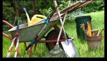 Blossom Brilliance: Must-Have Garden Tools Defined