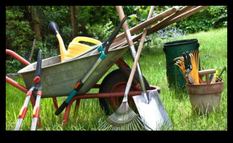 Blossom Brilliance: Must-Have Garden Tools Defined