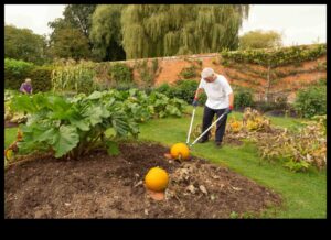 Gardens of Growth: Exploring the Depths of Horticulture