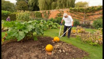 Gardens of Growth: Exploring the Depths of Horticulture
