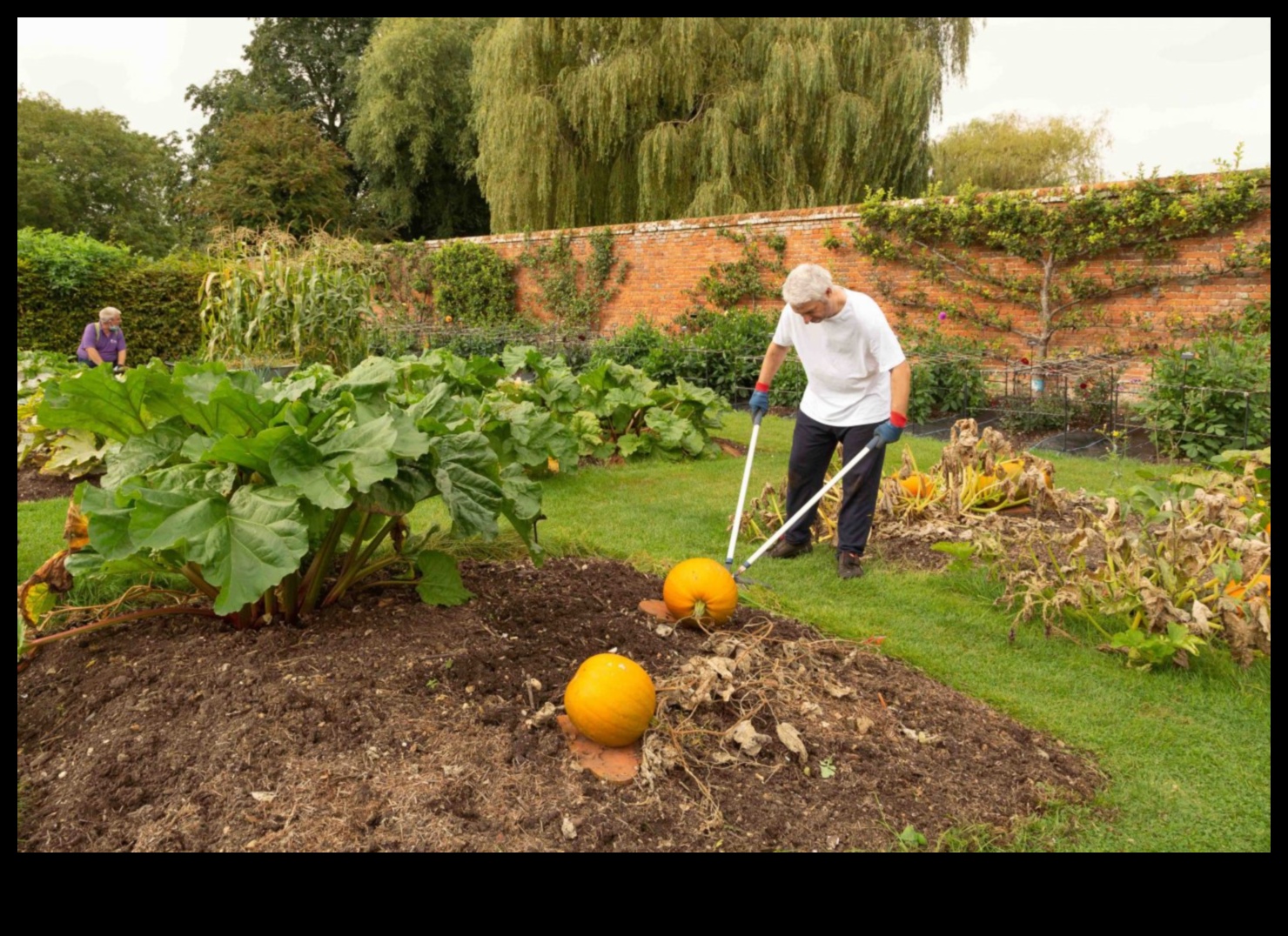 Gardens of Growth: Exploring the Depths of Horticulture