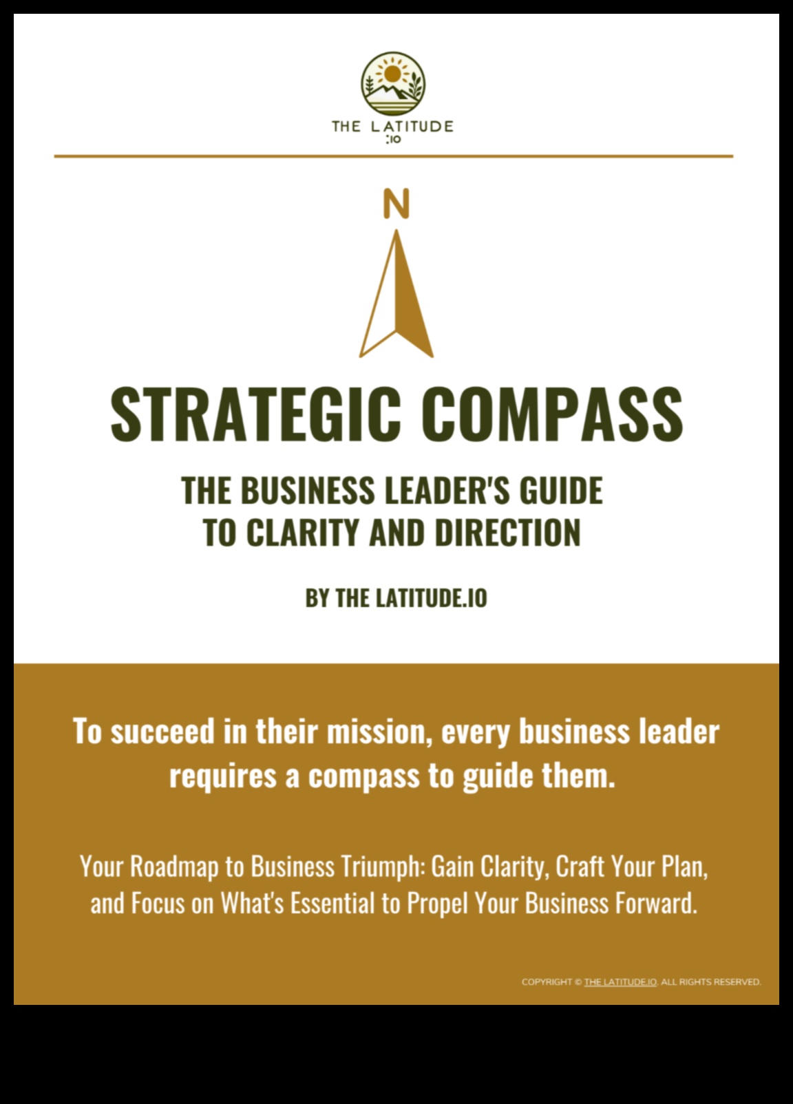 The Business Compass: Navigating the Landscape of Insight
