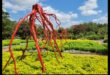 Botanical Serenade: Exploring the Beauty of Garden Sculptures