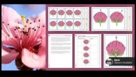 Διαδραστικοί κόμβοι: Καλλιέργεια σχέσεων στο κοινωνικό πεδίο