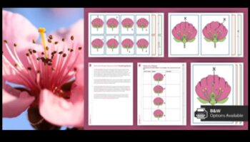 Διαδραστικοί κόμβοι: Καλλιέργεια σχέσεων στο κοινωνικό πεδίο