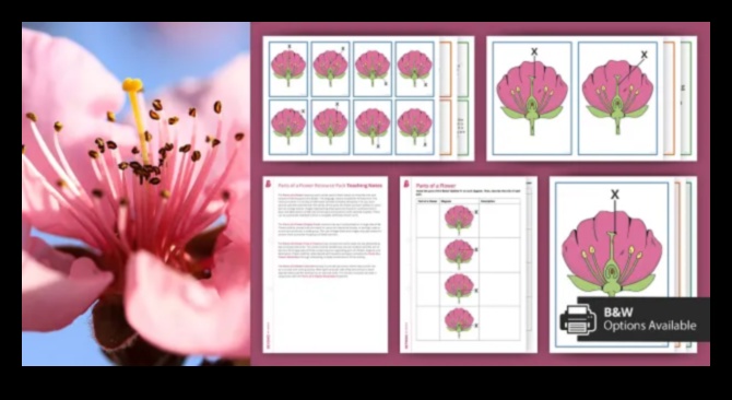 Διαδραστικοί κόμβοι: Καλλιέργεια σχέσεων στο κοινωνικό πεδίο