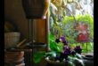 Indoor Eden: Growing Your Garden Beyond the Outdoors