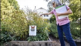 Horticultural Highways: Navigating Garden Education Paths