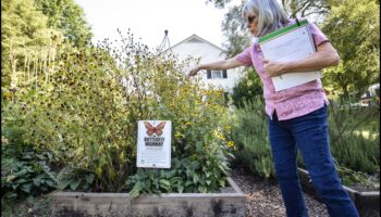 Horticultural Highways: Navigating Garden Education Paths
