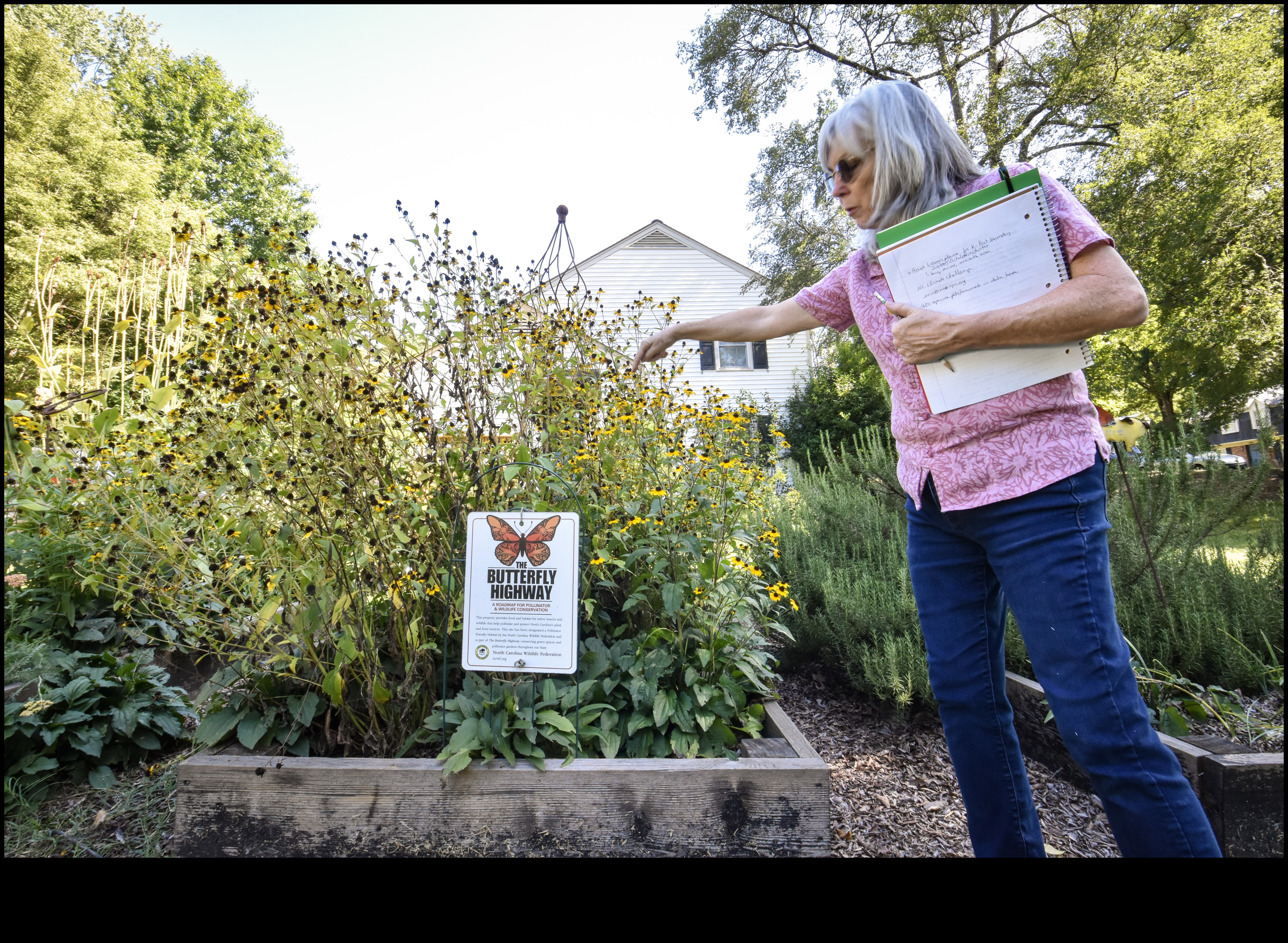 Horticultural Highways: Navigating Garden Education Paths