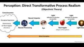 Visual Veracity: Ο αντίκτυπος του ρεαλισμού στην αντίληψη του θεατή