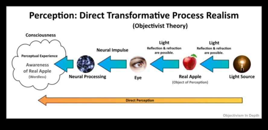 Visual Veracity: Ο αντίκτυπος του ρεαλισμού στην αντίληψη του θεατή