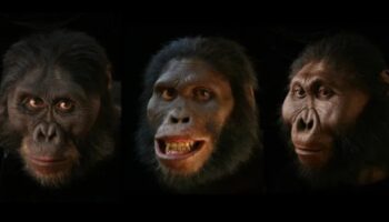 Πρωτόγονα πορτρέτα: Πρόσωπα σε προϊστορικά ειδώλια