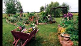 Pastoral Beauty: Nurturing Blooms in Cozy Cottage Gardens