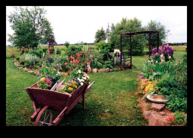 Pastoral Beauty: Nurturing Blooms in Cozy Cottage Gardens